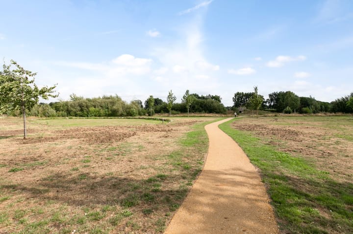 Photo 42 of Muntmeester 151