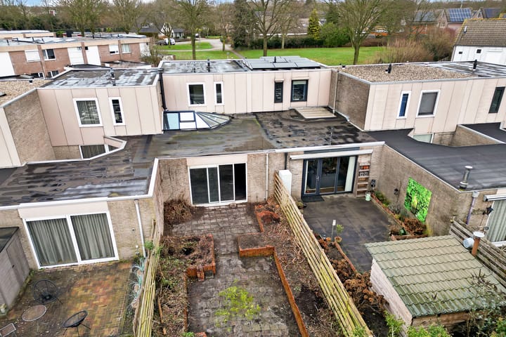 Foto 2 van Holenduif 29