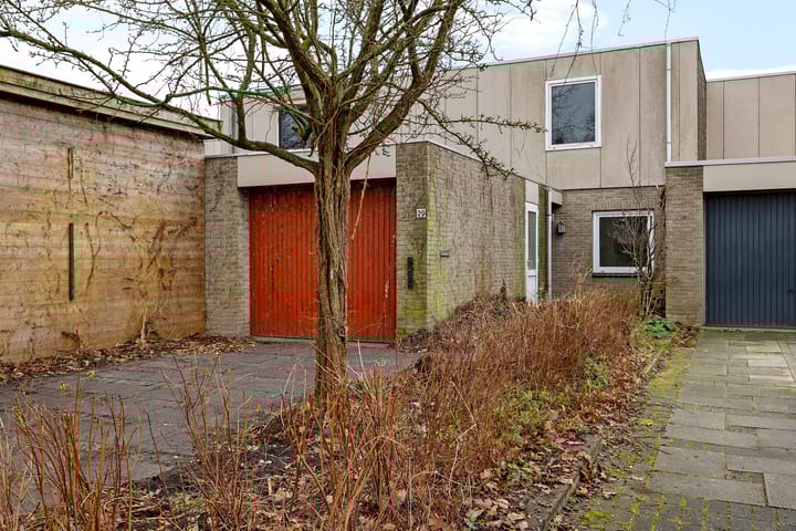 Foto 3 van Holenduif 29