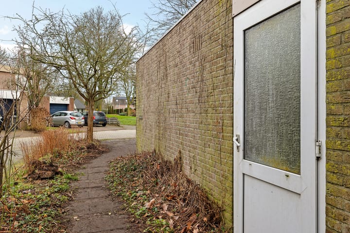 Foto 4 van Holenduif 29