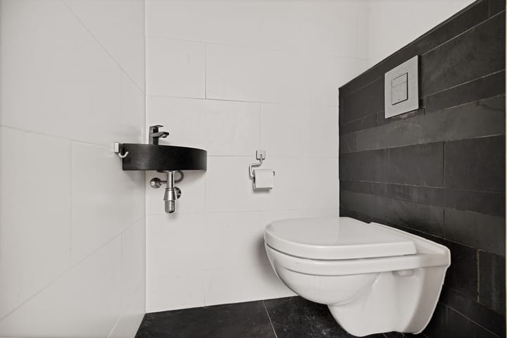 Foto 6 van Holenduif 29