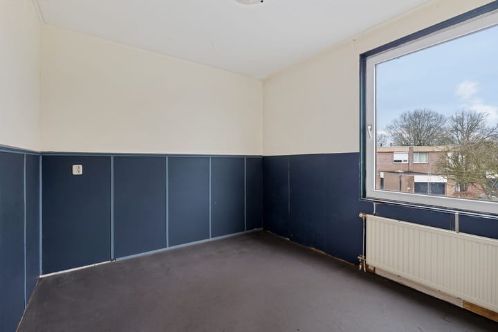 Foto 24 van Holenduif 29