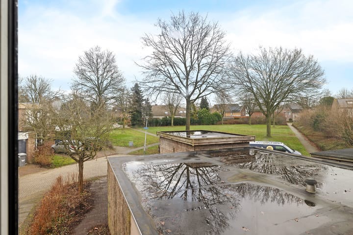 Foto 26 van Holenduif 29