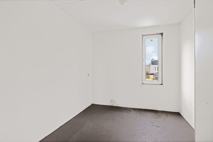 Foto 29 van Holenduif 29