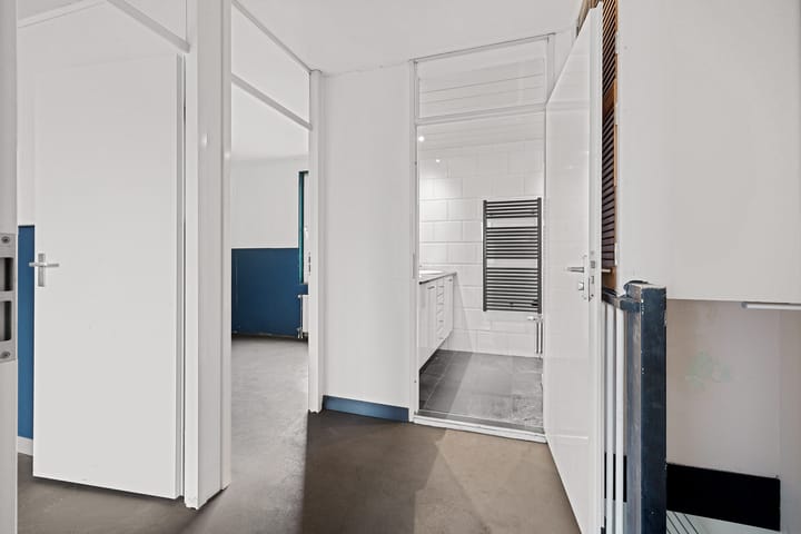 Foto 30 van Holenduif 29