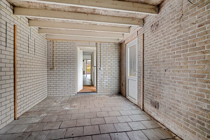 Foto 31 van Holenduif 29