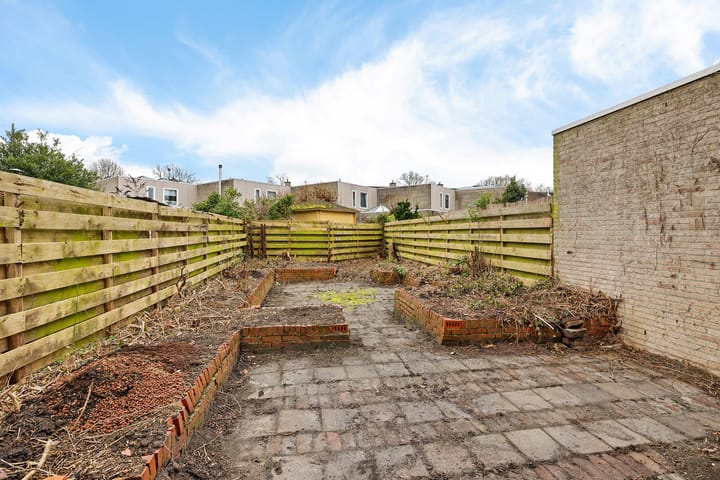 Foto 32 van Holenduif 29