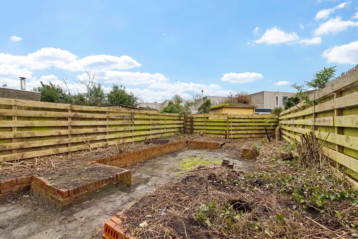 Foto 33 van Holenduif 29