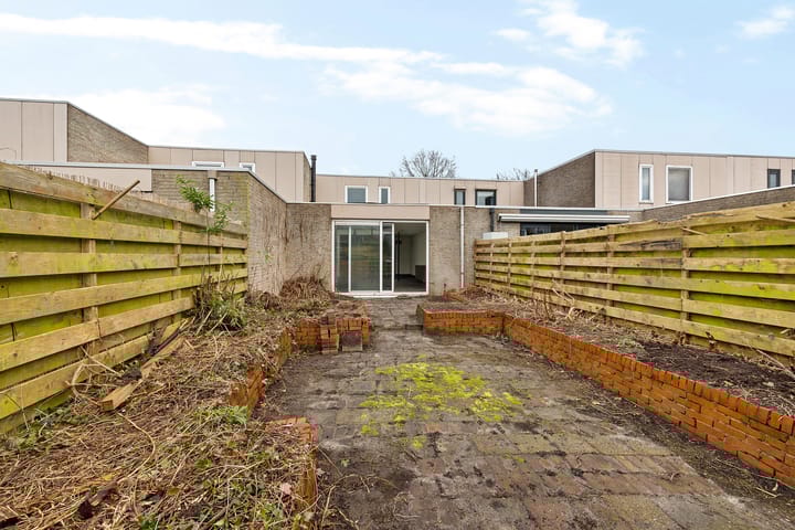 Foto 34 van Holenduif 29