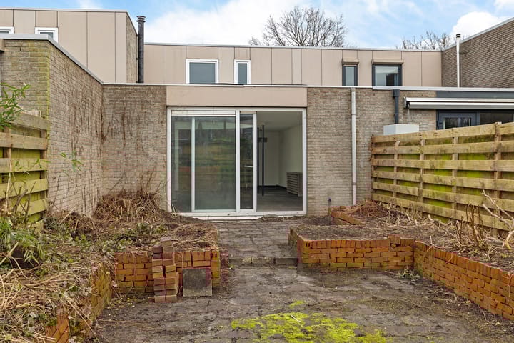 Foto 35 van Holenduif 29