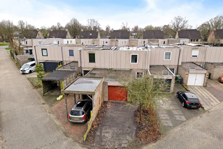 Foto 37 van Holenduif 29