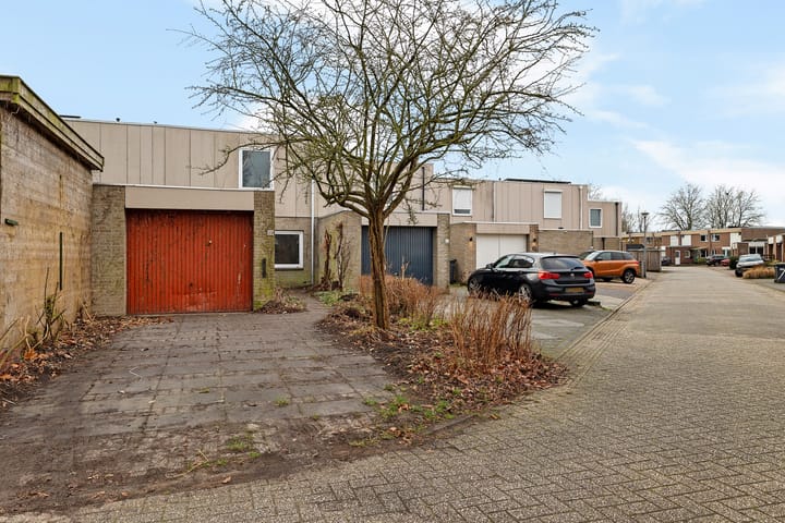 Foto 38 van Holenduif 29