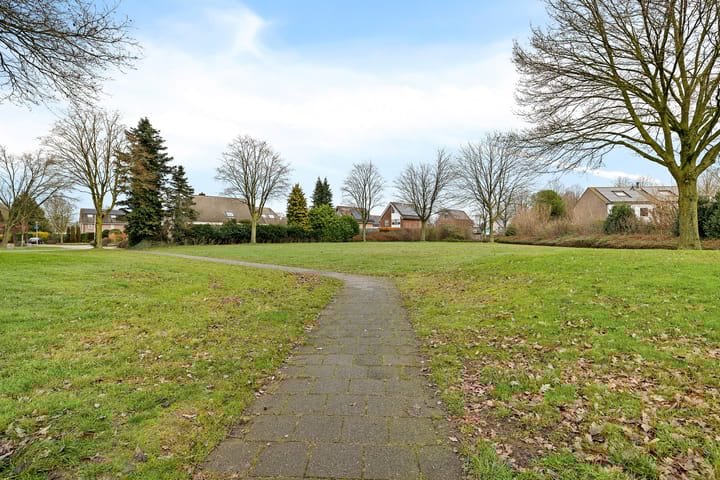 Foto 40 van Holenduif 29