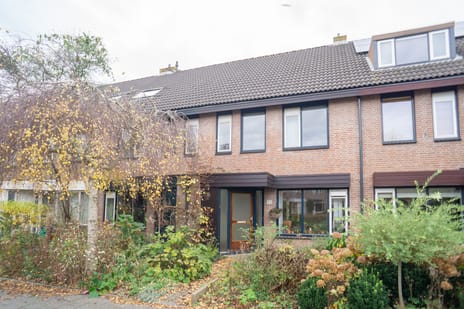 Patrijsstraat thumbnail