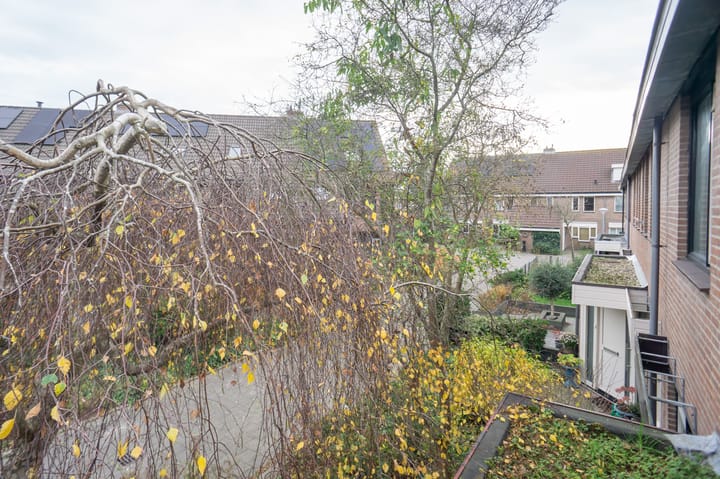 Foto 31 van Patrijsstraat 35