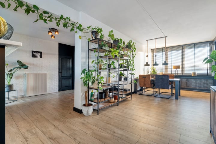 Foto 18 van Haselackers 51