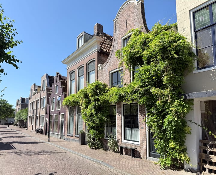 Godsacker 5 main image