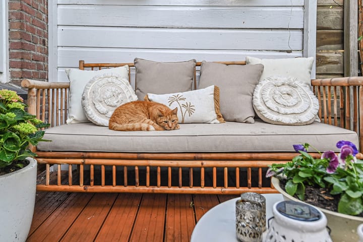 Foto 32 van Van Alkemadelaan 9