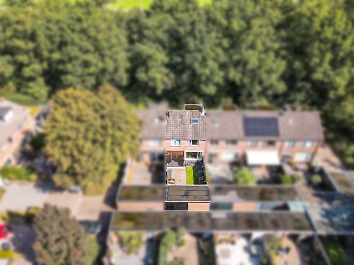 Photo 44 of Witwatersrand 12