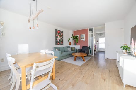 Elviraland thumbnail