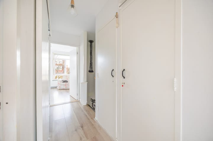 Foto 17 van Elviraland 13