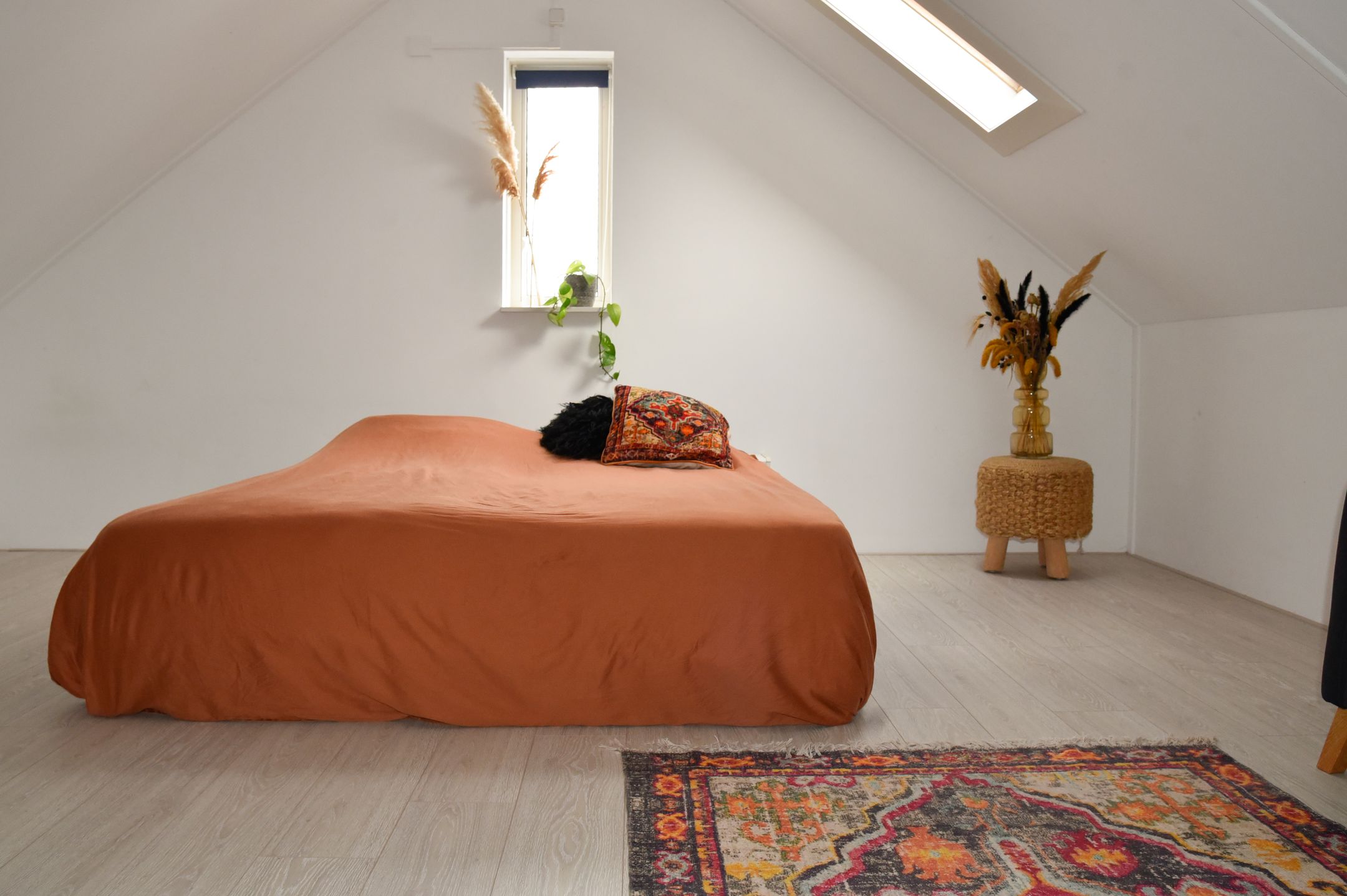 Foto 42 van Frederik Hendriklaan 26