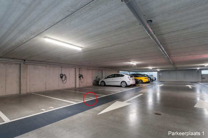 Foto 43 van Werf van Gips 370