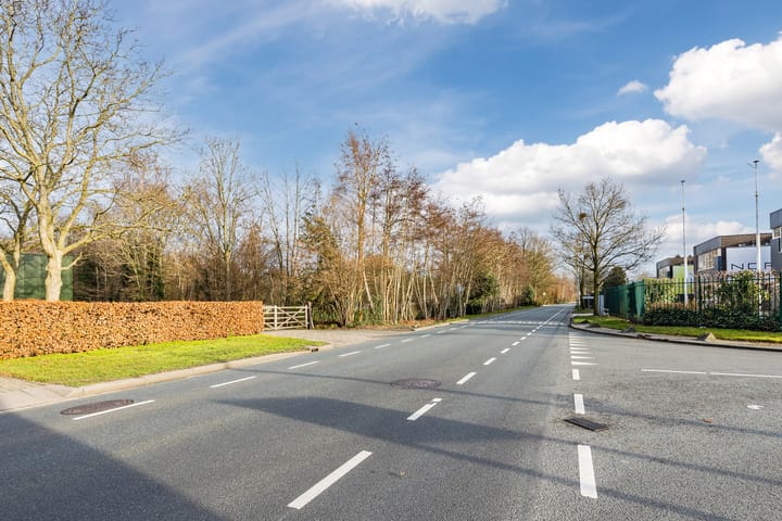 Foto 113 van Leemstraat 25