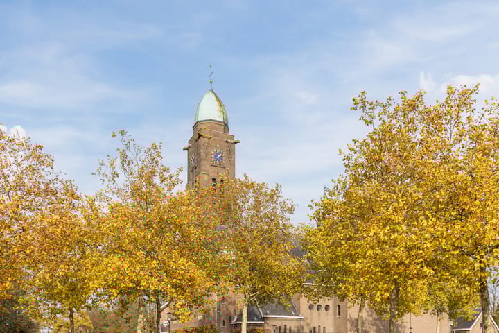 Foto 40 van Hoolstraat 81