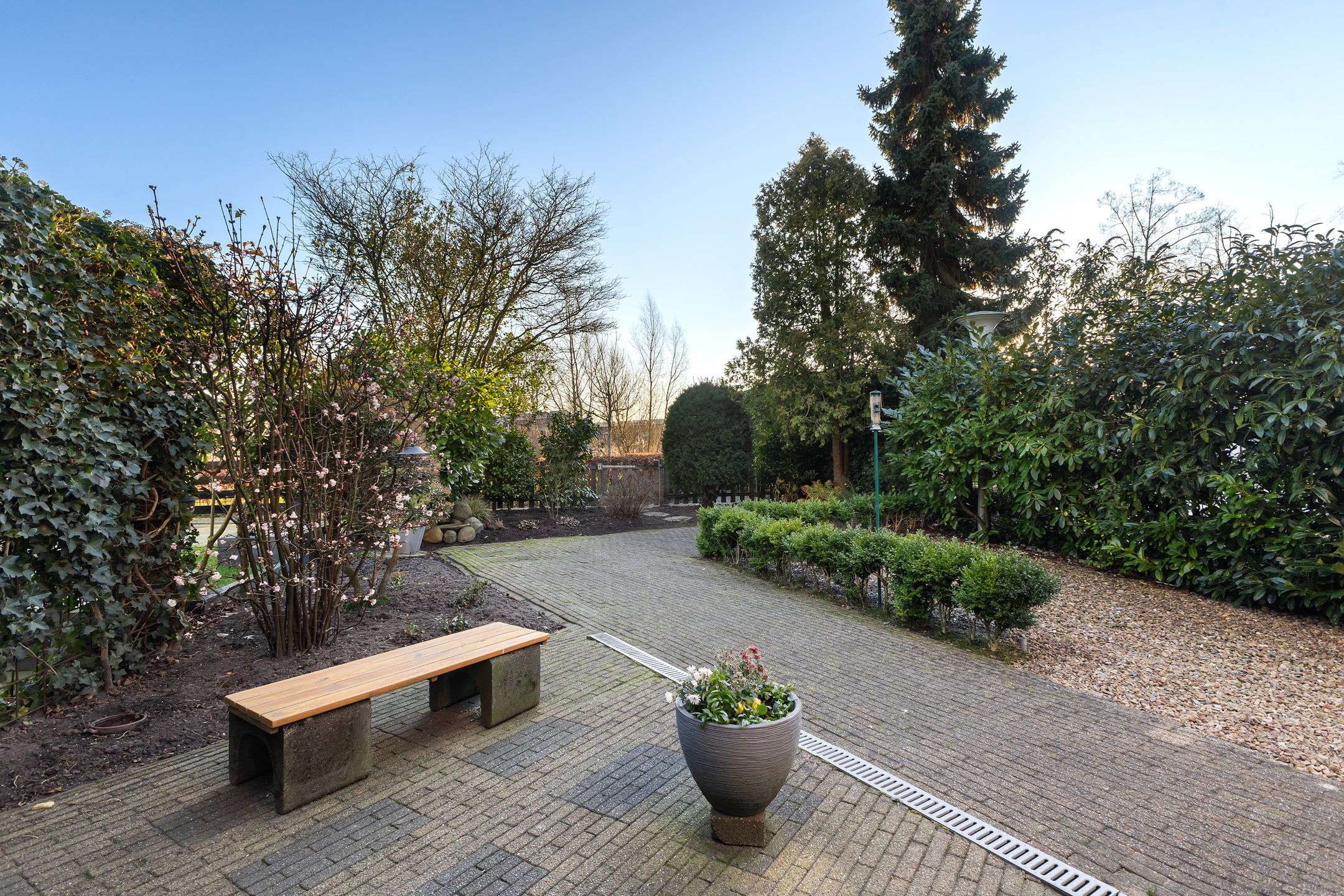 Foto 18 van Mannagras 15