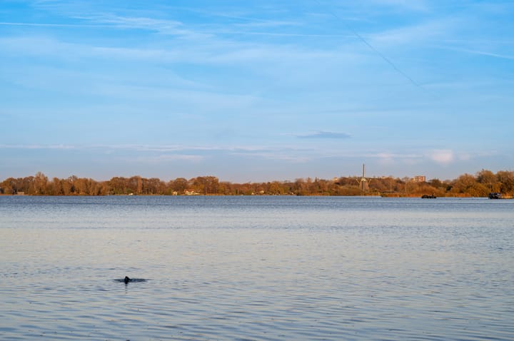 Foto 13 van Philips Willemstraat 36