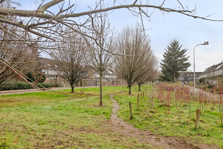 Foto 37 van Hobbemastraat 50