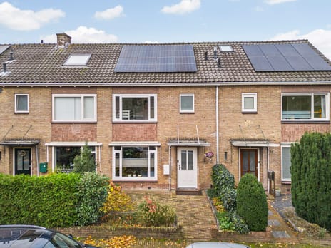 Witte de Withstraat thumbnail