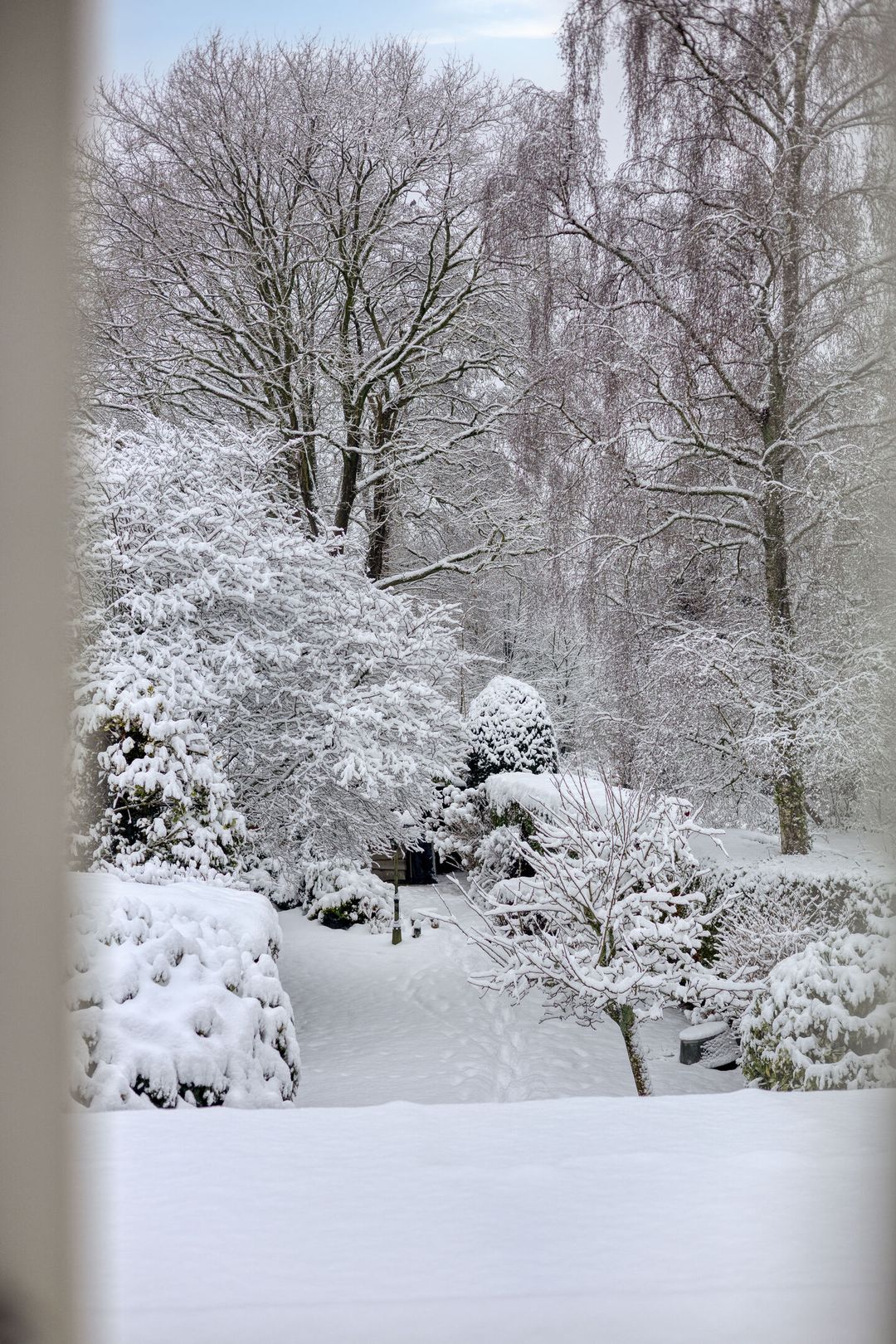 Foto 16 van Stadhouderslaan 51