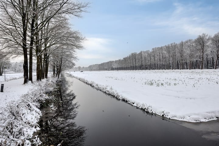 Foto 39 van Stadhouderslaan 51