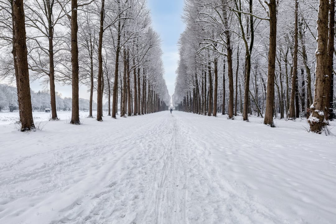 Foto 41 van Stadhouderslaan 51