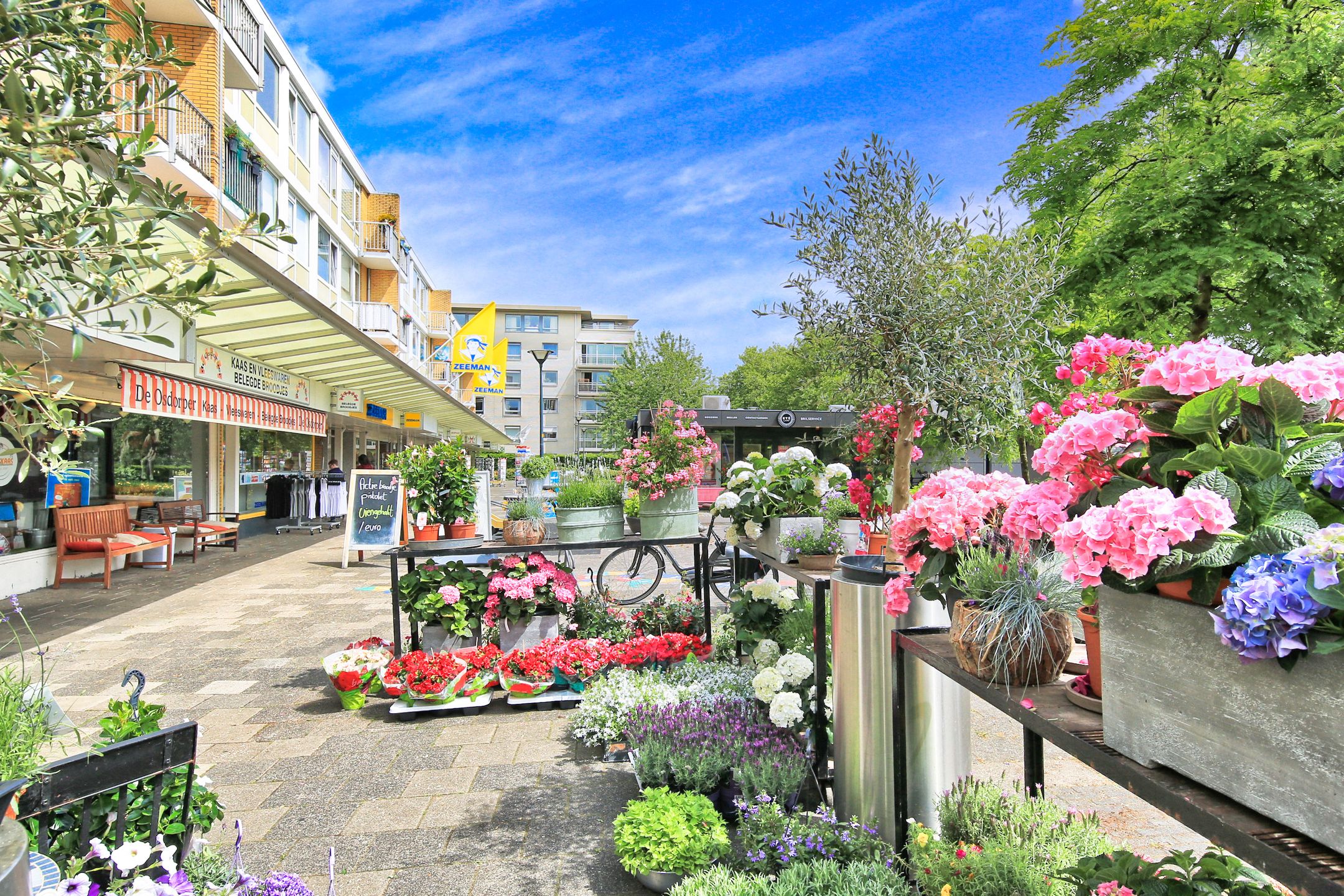 Foto 9 van Sloterweg 97-C