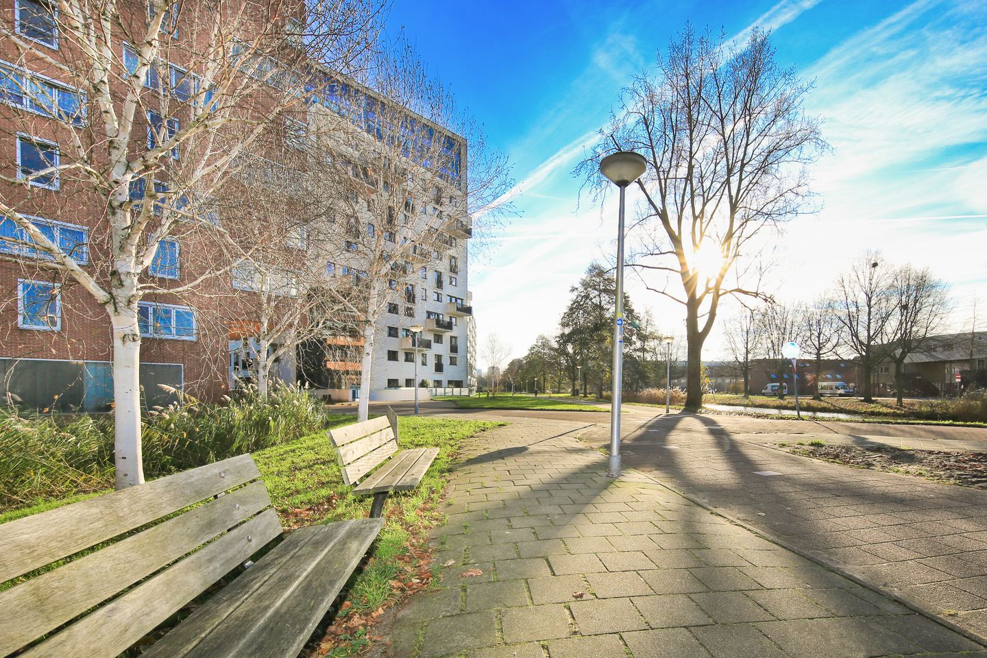 Foto 40 van Berkenplein 204