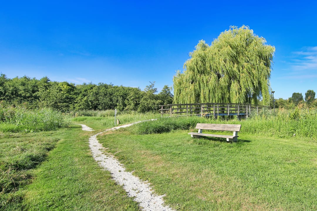 Foto 43 van Berkenplein 204