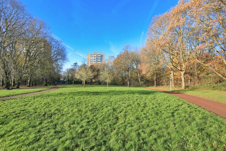 Foto 55 van Nachtwachtlaan 455