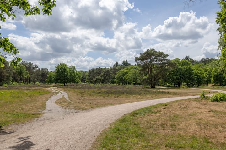 Foto 43 van Laapersboog 32