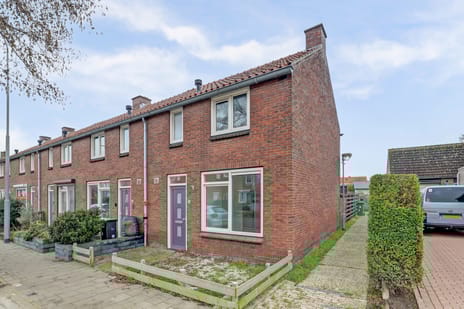 undefined main image