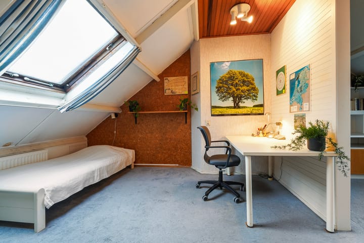 Foto 37 van Frans Halsstraat 65