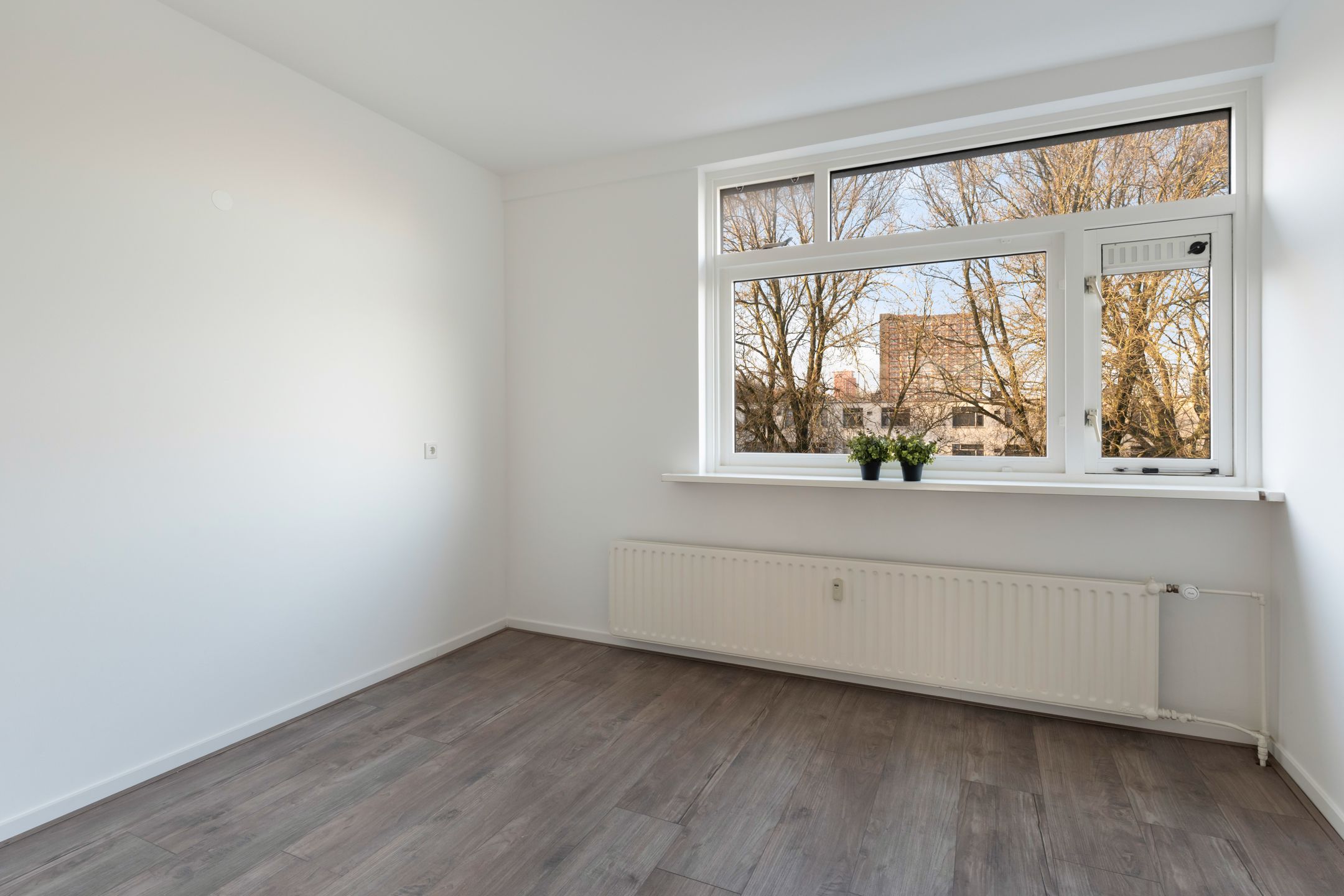 Photo 15 of Blaauwstraat 60