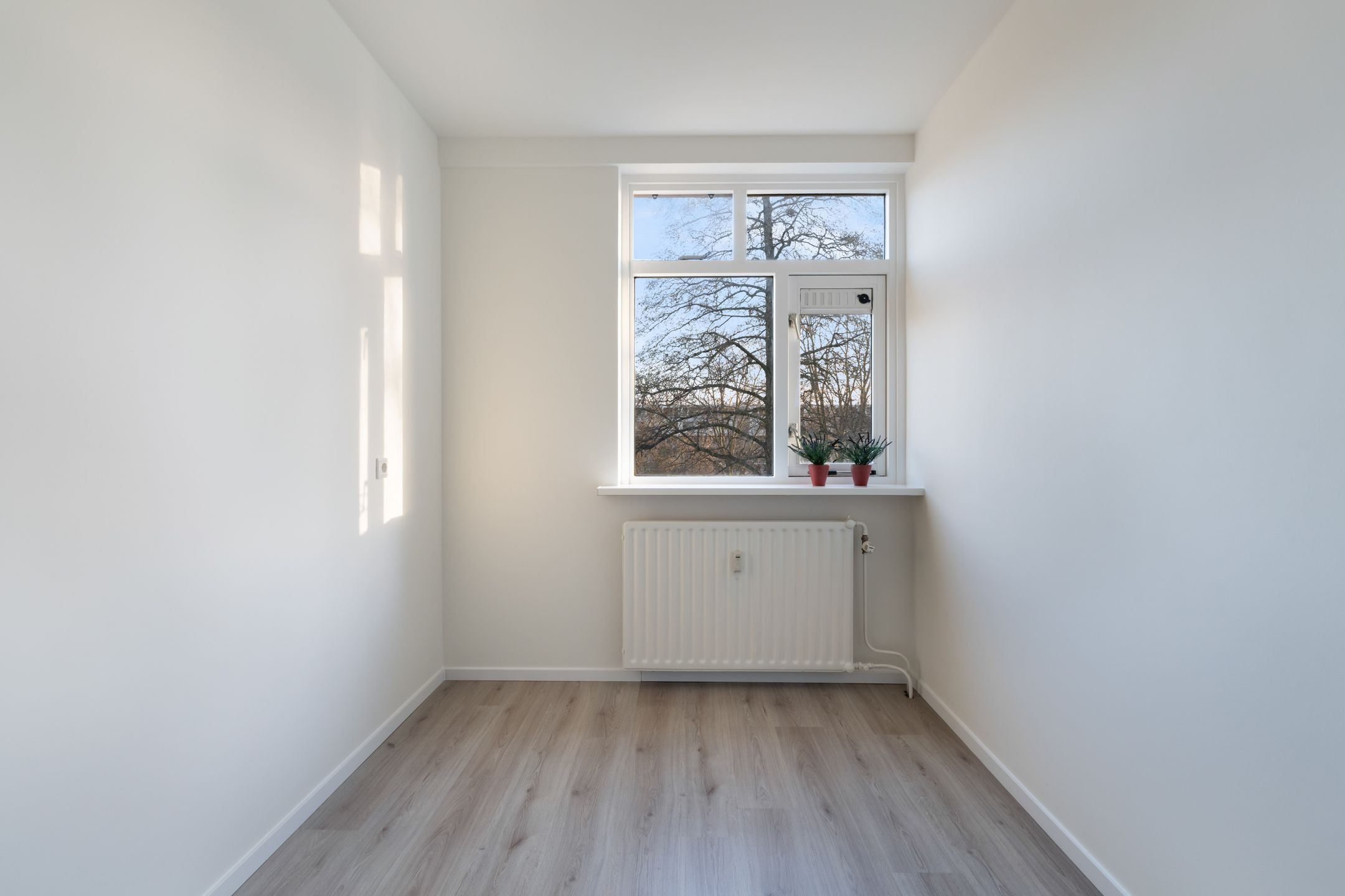 Photo 36 of Blaauwstraat 60