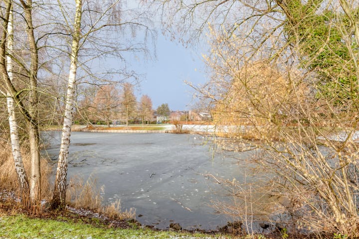 Foto 41 van Diepmeerven 68