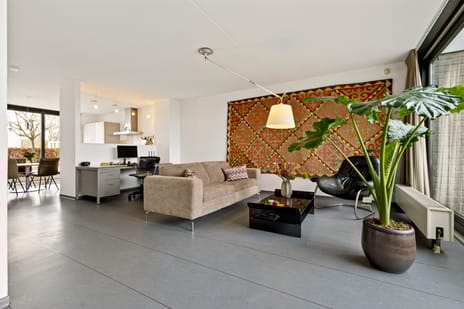 Hondsdraf 4 tertiary image