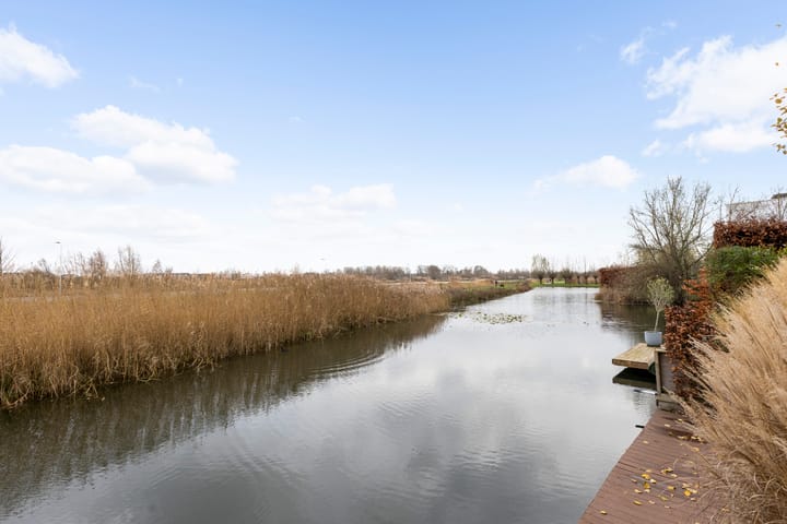 Foto 37 van Hondsdraf 4