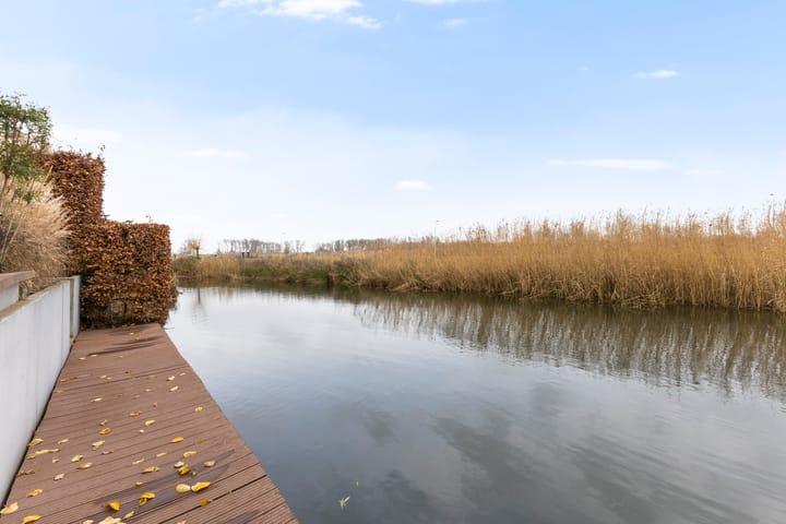 Foto 40 van Hondsdraf 4