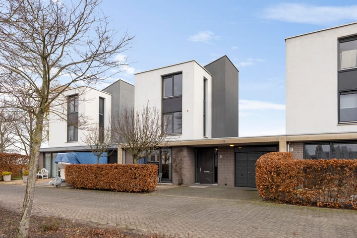 Foto 45 van Hondsdraf 4